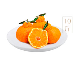 四川丑橘10斤裝