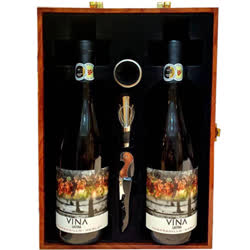 VINA LASTRA 14.5度（2瓶礼盒装）干红葡萄酒