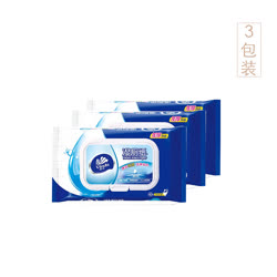 维达卫生湿巾湿厕纸湿纸巾40片/包（3包装）