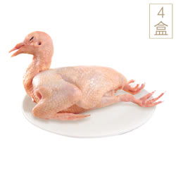 新春年菜鋪,農百鮮（NONBASY） （冰鮮）乳鴿350g/盒*4盒
