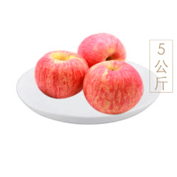陜西華圣紅富士蘋果5kg原箱禮盒裝