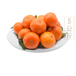 果王佳园 广西砂糖橘5kg特惠装