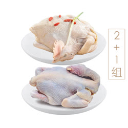 清依食 圍山放養老母雞1.2kg*2+散養童子雞800g