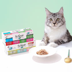雪詩雅Schesir猫罐头精选混合装汤煮系列2盒装（12罐）
