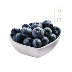 果王佳園 秘魯藍莓8盒*125g